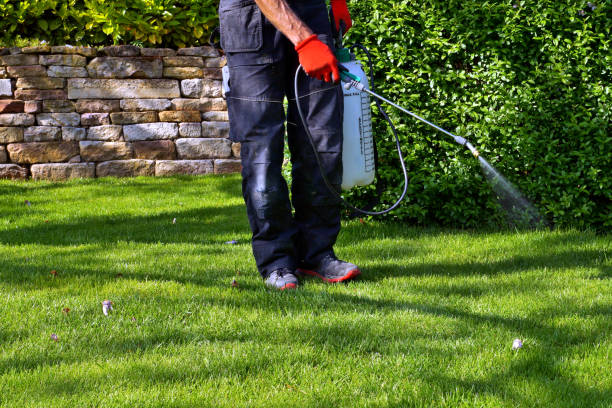 Reliable Woodmore, MD Pest Control Solutions